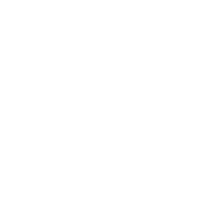 The Emerson Socials